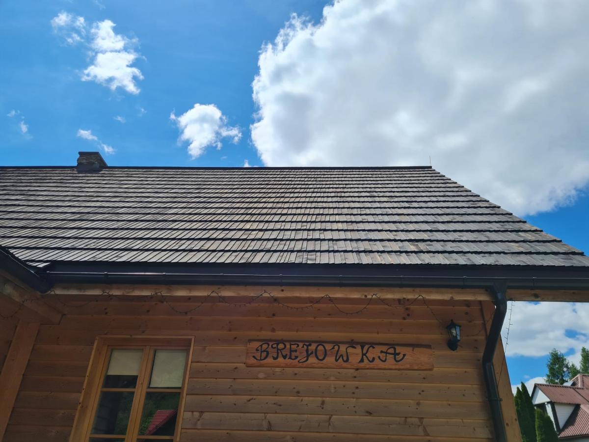 Apartamento Brejowka Krynica-Zdrój Exterior foto