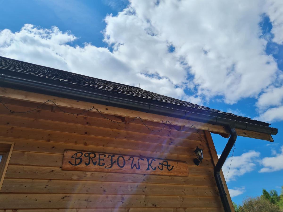 Apartamento Brejowka Krynica-Zdrój Exterior foto